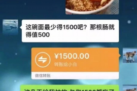 卢湾为什么选择专业追讨公司来处理您的债务纠纷？